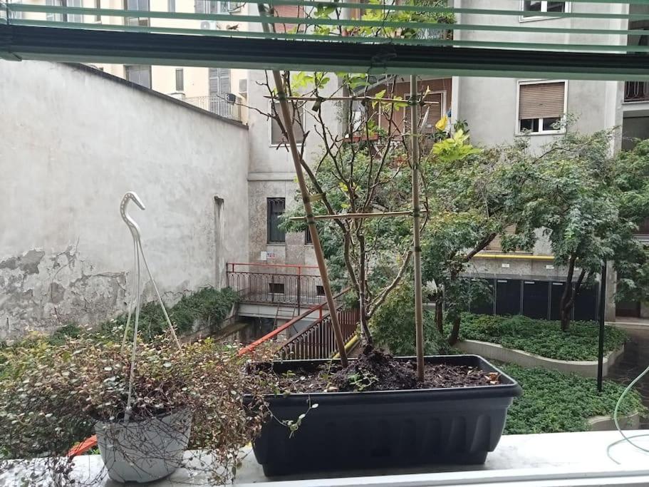 Ferienwohnung Il Grande Blu Mailand Exterior foto